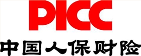 中国人寿保险-圣巧依案例